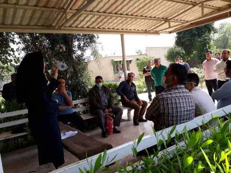 واکنش سریع6