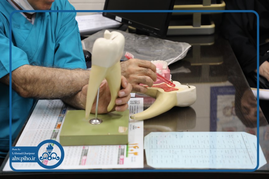 بازدید مدارس 9