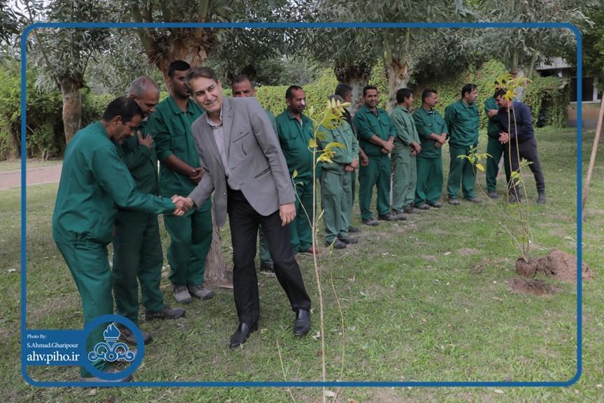 روز درختکاری 2