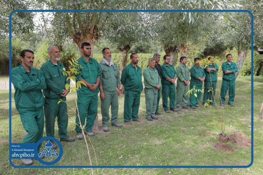 روز درختکاری 4