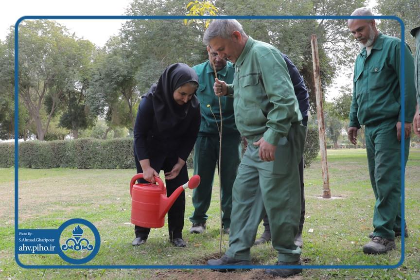 روز درختکاری 6