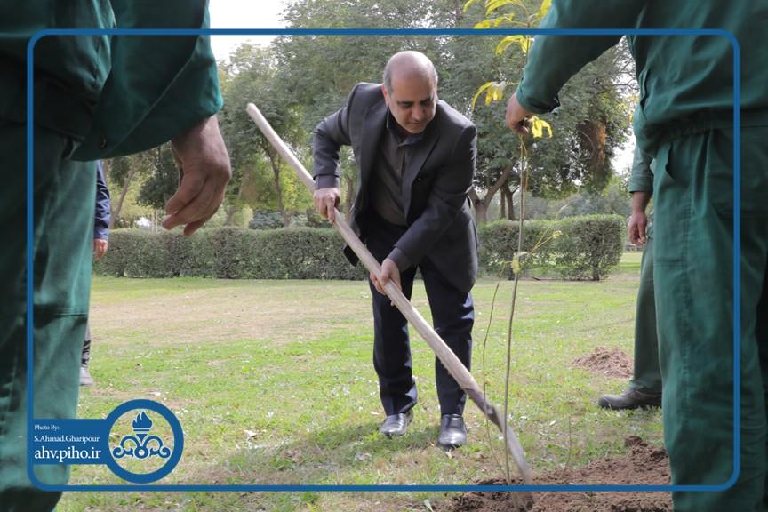 روز درختکاری 8