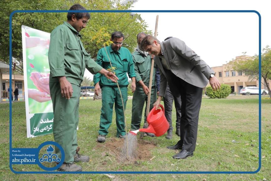 روز درختکاری 9