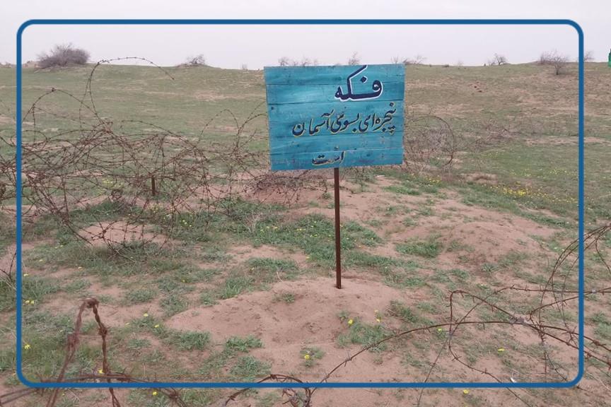 راهیان نور-1404 6