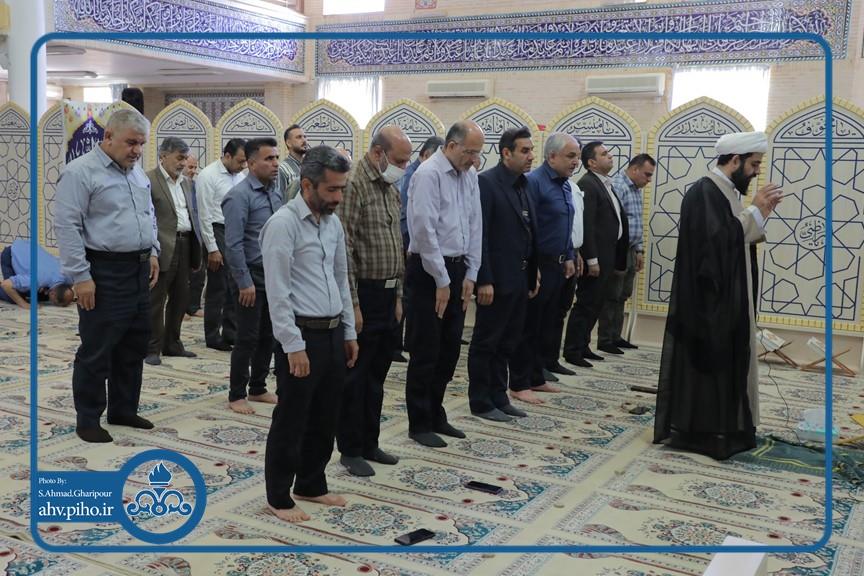 ولادت امام رضا ع 4