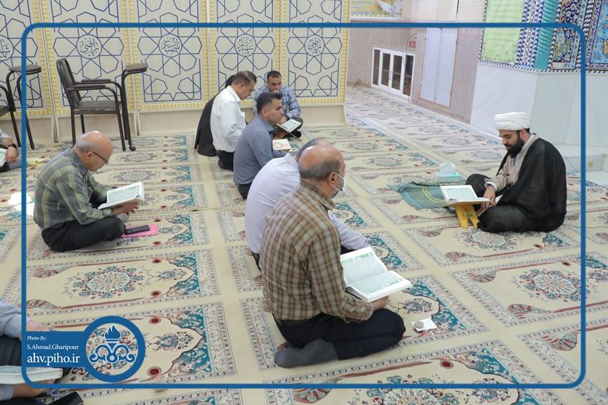 ولادت امام رضا ع 3