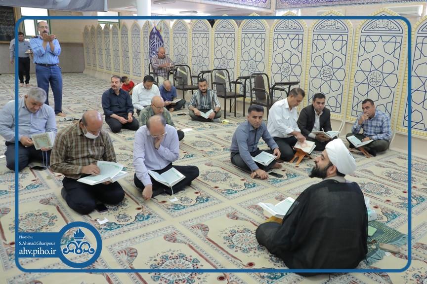 ولادت امام رضا ع 2