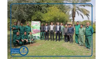 کاشت نهال در بیمارستان نفت